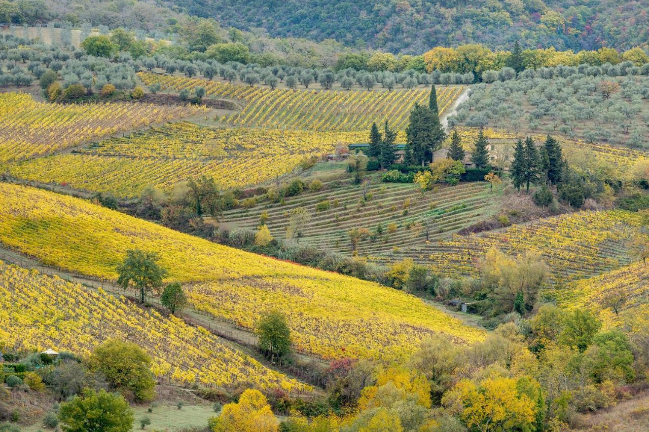 Terre Di Baccio Frühstückspension