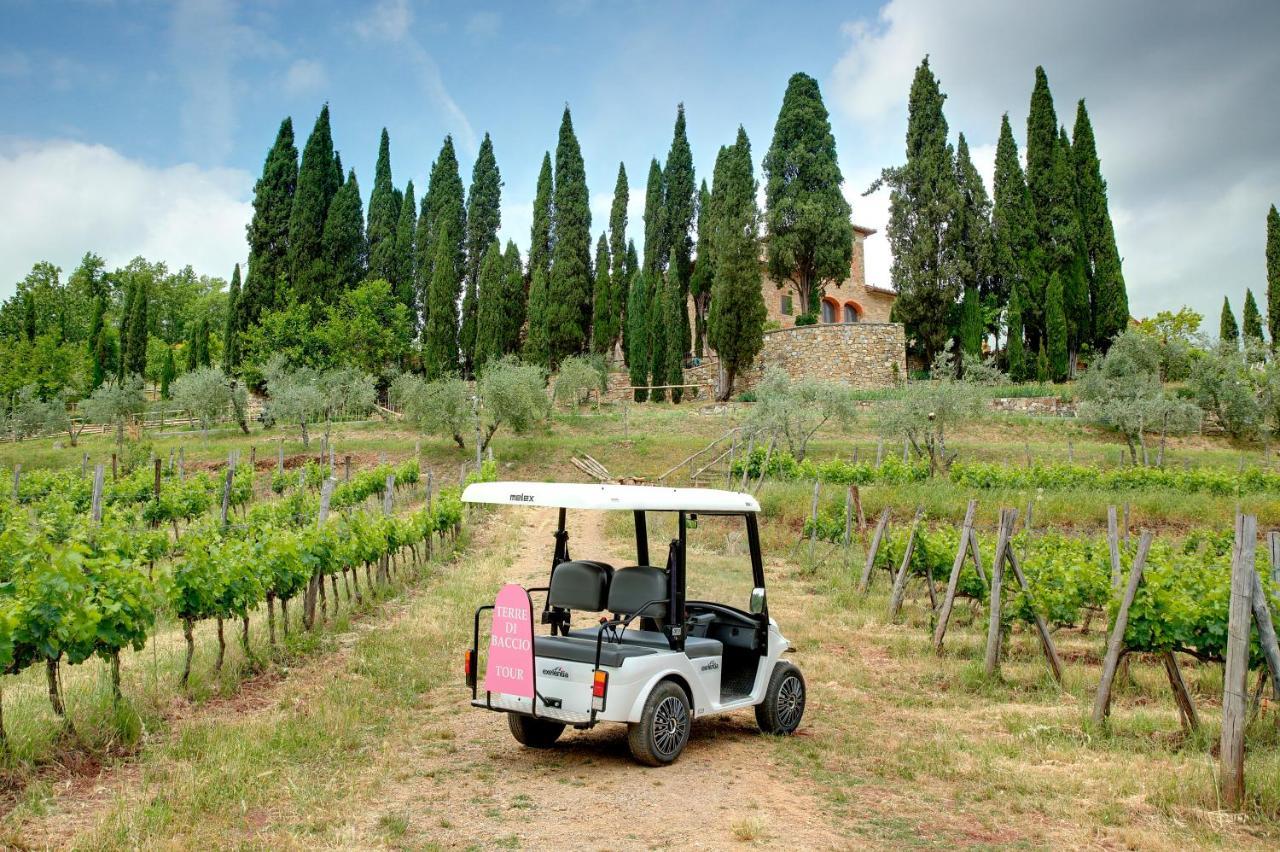 Terre Di Baccio Frühstückspension Greve in Chianti