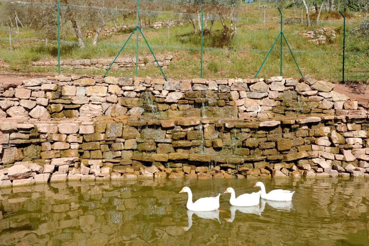 Terre Di Baccio 3* Greve in Chianti